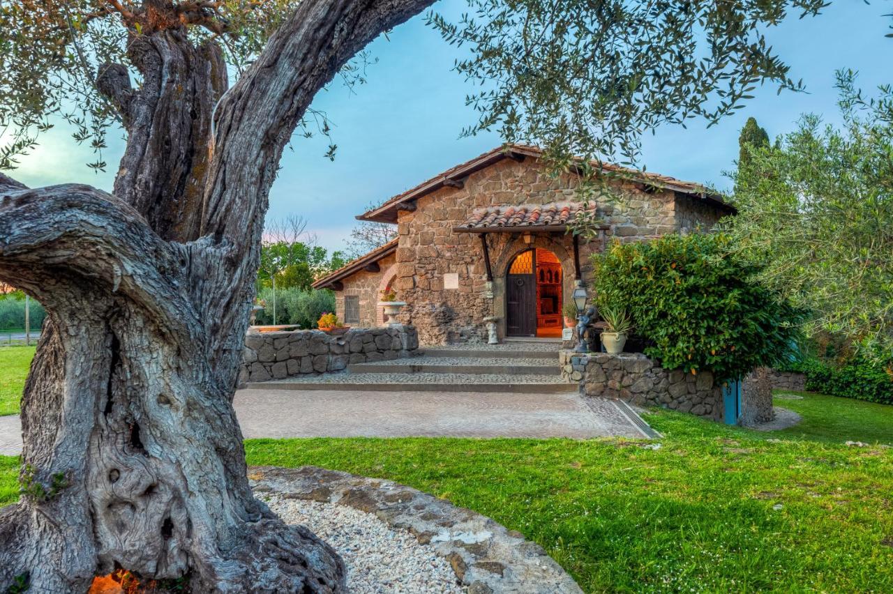 Roman Oasis Villa Ciampino Eksteriør billede