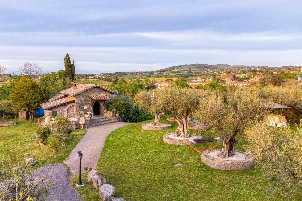 Roman Oasis Villa Ciampino Eksteriør billede